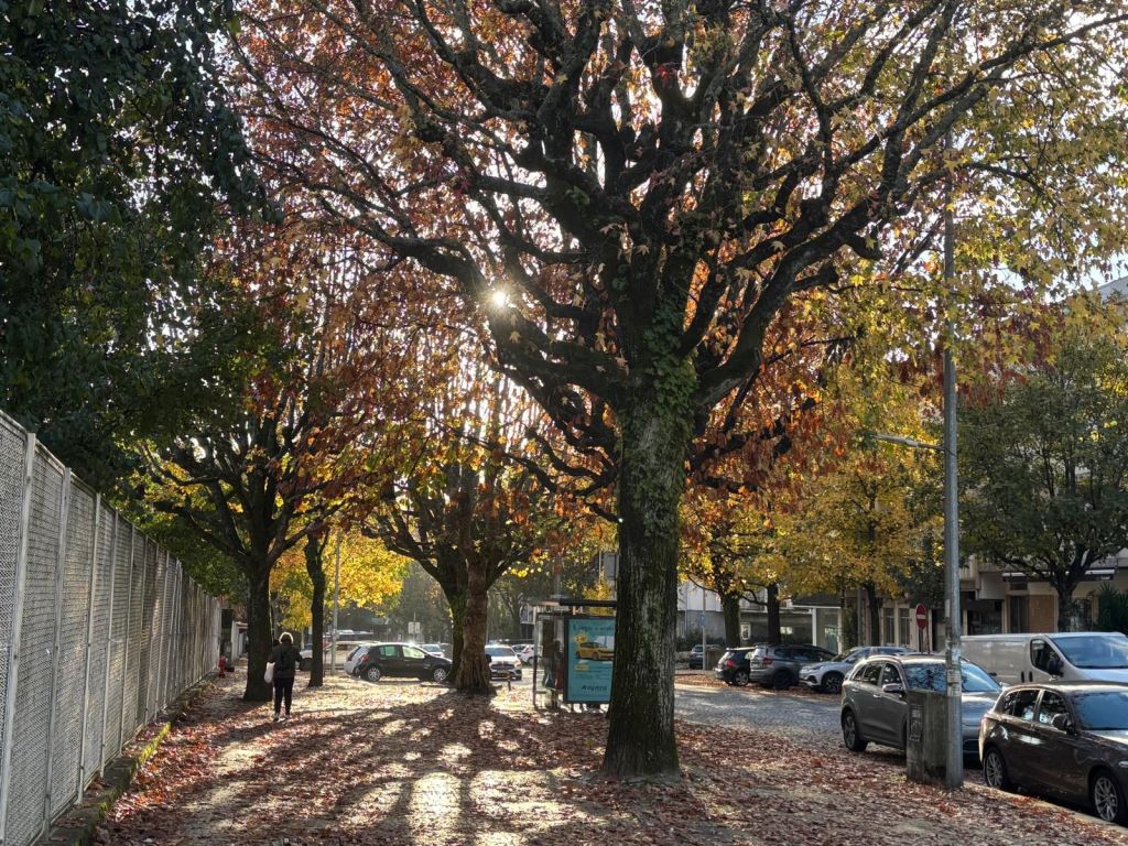 New Land, New Life, New…&nbsp;Problems?